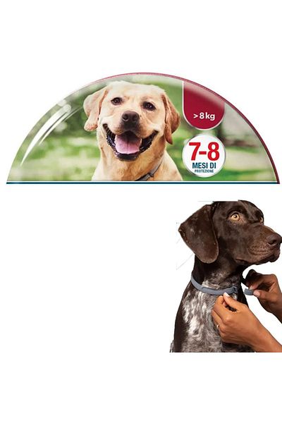 Choice big dog Dog Anti Flea And Tick Collars,Pet 8Month Protection Adjustable Collar For Large Dog Puppy C