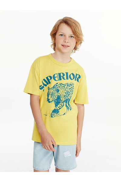 LC Waikiki Sari Crew Neck Boy's T-Shirt