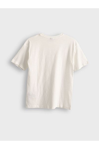 LC Waikiki Orange Crew Neck Boy's T-Shirt