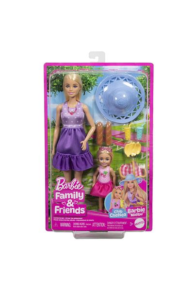 Barbie FAMILY AND FRIENDS BARBIE DOLL AND CHELSEA DOLL SET