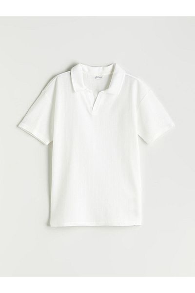 LC Waikiki Beige Polo Neck Textured Boy's T-Shirt