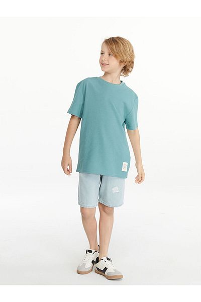 LC Waikiki Crew Neck Textured Boy's T-Shirt