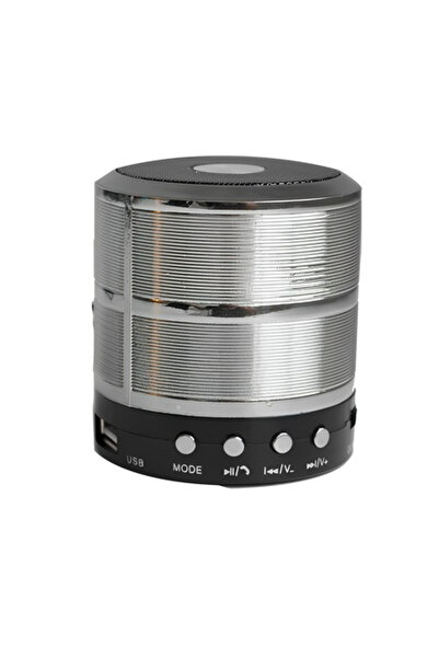 ABYZ Mini portable speaker, Metal body, Bluetooth, Miscro-SD, Radio, Aux, Silver color