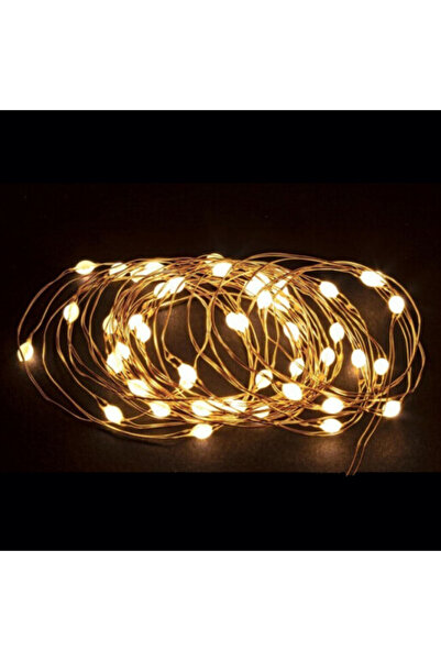 Bizzotto Σειρά 5,20 μέτρων με 50 μικρο-LED