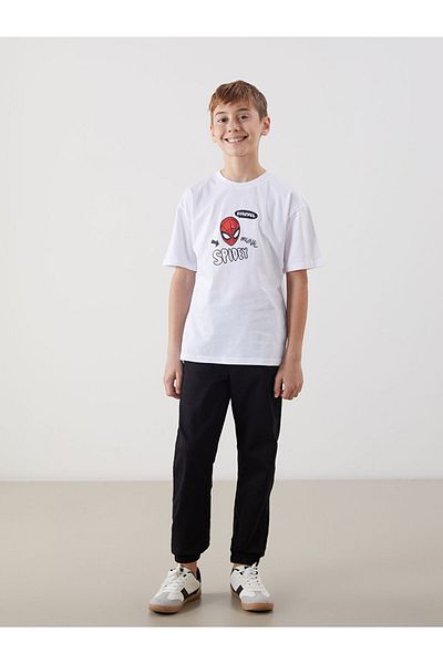 LC Waikiki Crew Neck Spider-Man Printed Boys' T-Shirt