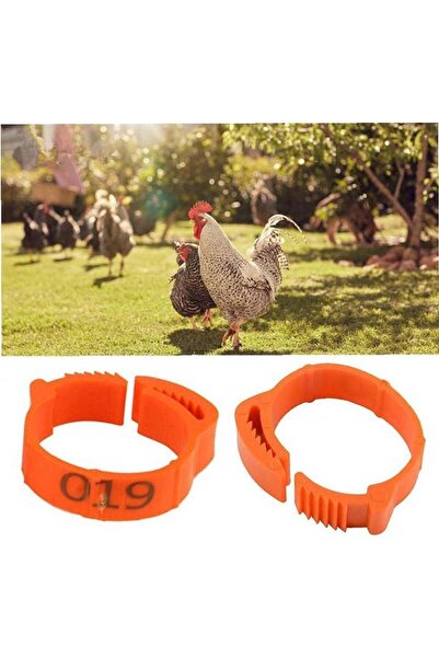 OEM Set of 100 bird rings, Plastic, 1-100, Orange