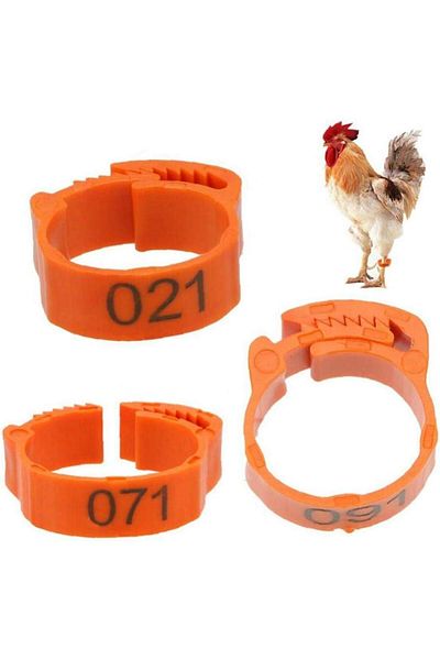 OEM Set of 100 bird leg rings, Plastic, Orange