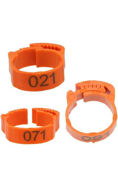 OEM Set of 100 bird rings, Plastic, 1-100, Orange