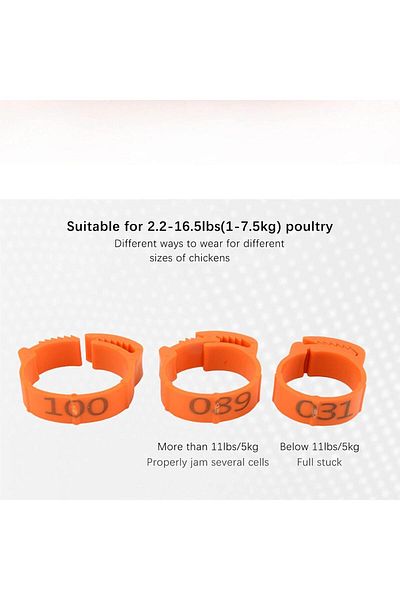 OEM Set of 100 bird leg rings, Plastic, Orange