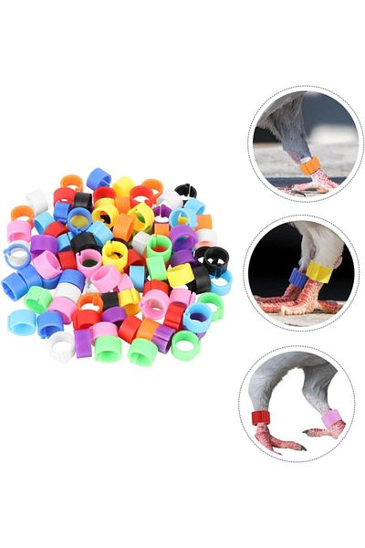 OEM Set of 200 pigeon leg rings, Plastic, Multicolor
