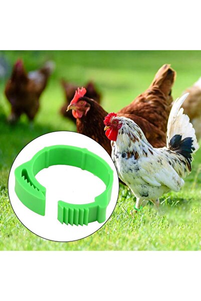 OEM Adjustable chicken rings, 100 pieces, Green