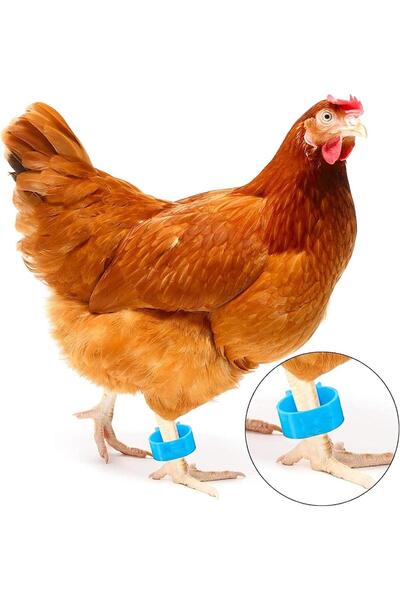 OEM Set of 100 bird rings, Universal, Plastic, 8mm, Multicolor