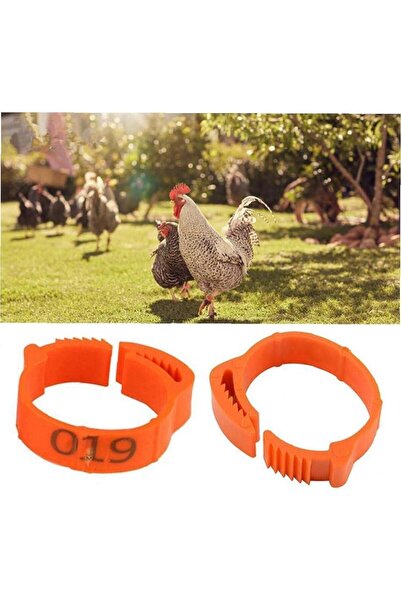 OEM Set of 100 bird rings, Plastic, Orange