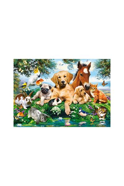 Castorland Puzzle Castorland - Summer Pals, 500 piese