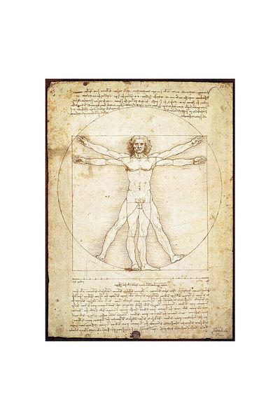 Eurographics Eurographics Puzzle - Leonardo Da Vinci: Vitruvian Man, 1000 pieces