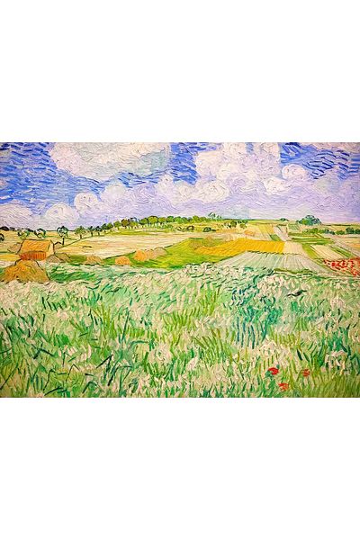 Enjoy Puzzle 1000 pieces Enjoy - Vincent Van Gogh: Plain near Auvers