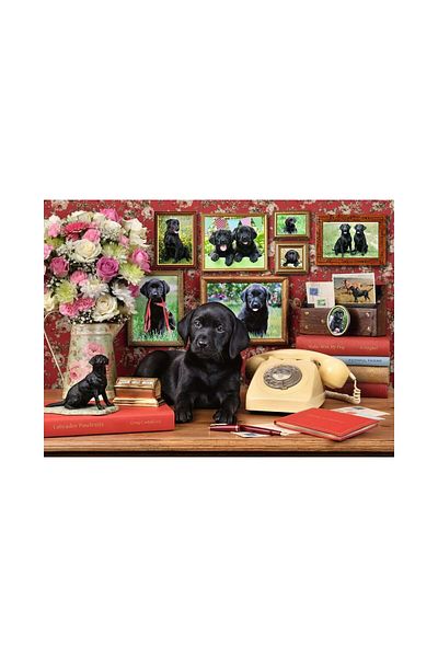 RAVENSBURGER Ravensburger Puzzle - Loyal Puppy, 500 pieces