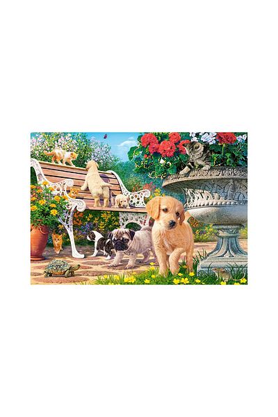 Castorland Puzzle 500 pieces Castorland - Hide and Seek