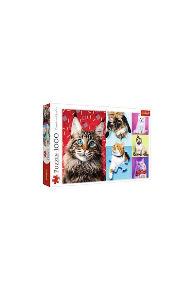 Trefl Puzzle Trefl - Happy Cats, 1000 pieces