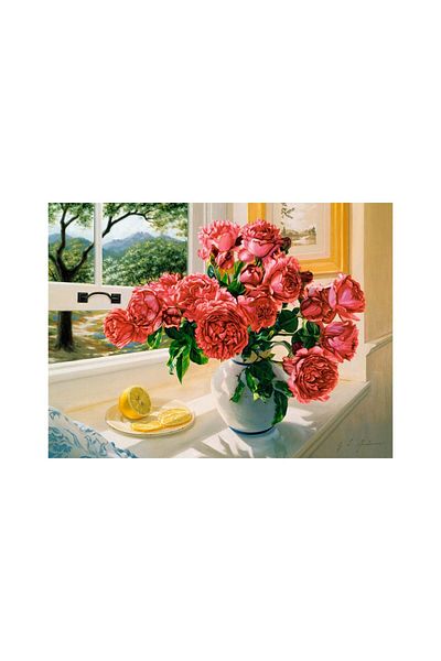 Castorland Puzzle 3000 pieces mini Castorland - Summer Rescence