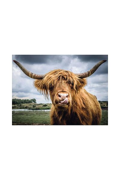 RAVENSBURGER Puzzle 300 pieces Ravensburger - Bovine