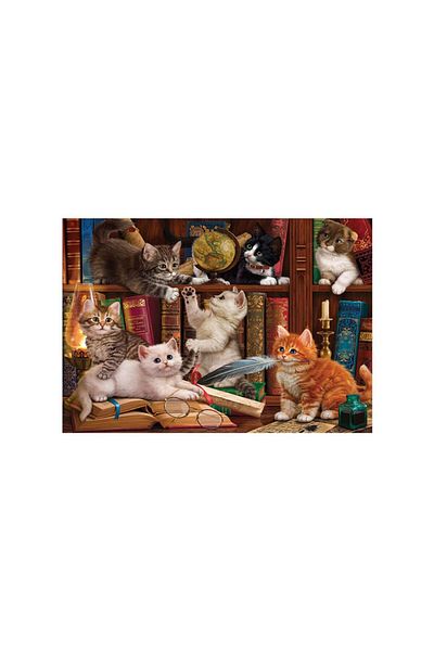 Anatolian Anatolian puzzle - Cats and Books, 500 pieces