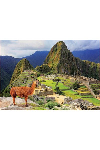 EDUCA Educa Puzzle - Machu Picchu, Peru, 1000 pieces, includes glue