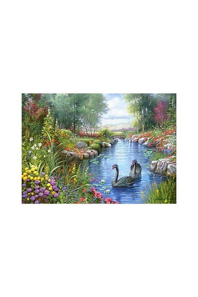 Castorland Puzzle Castorland - Copy of Black Swans, Andres Orpinas, 1500 pieces