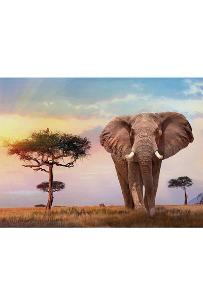 CLEMENTONI Clementoni 500 piece puzzle - African Sunset