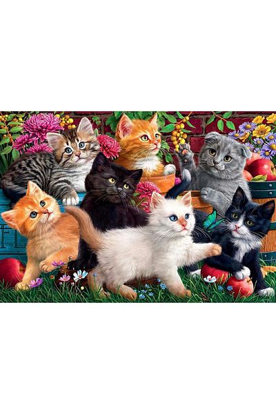 Anatolian Anatolian Puzzle - Marthy H. Segelbaum: Kittens at Play, 260 pieces