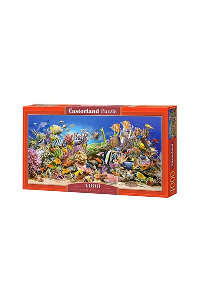 Castorland Castorland Puzzle - Underwater Life, 4000 pieces