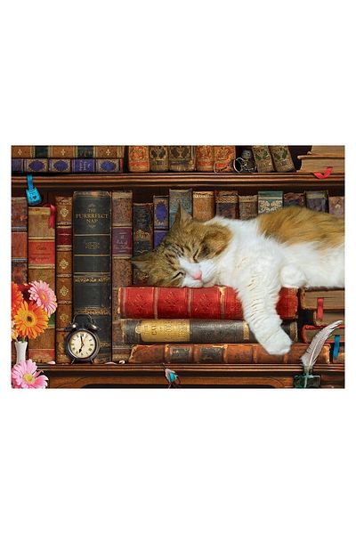Eurographics Puzzle Eurographics - The Cat Nap, 500 pieces XXL