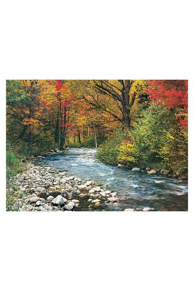 Eurographics Puzzle Eurographics - Forest Stream, 1000 pieces