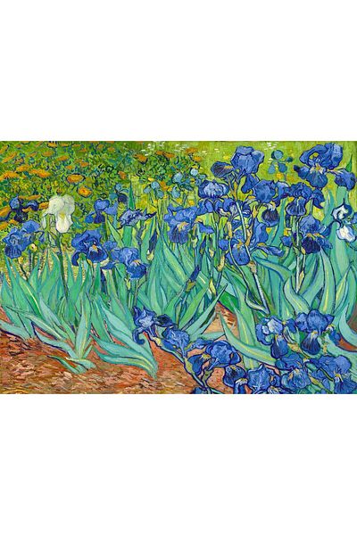 Enjoy Puzzle 1000 pieces Enjoy - Vincent Van Gogh: Irises
