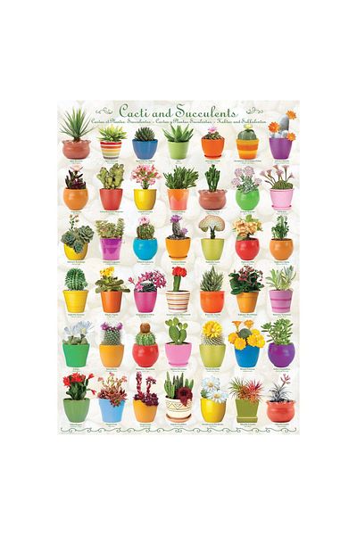 Eurographics Eurographics Puzzle - Cactus & Succulents, 1000 pieces