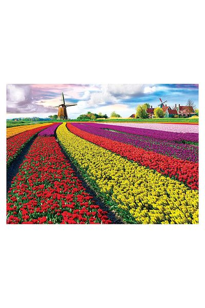 Eurographics Puzzle Eurographics - Tulip Fields Netherlands, 1000 pieces