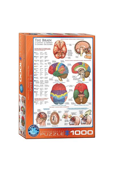 Eurographics Puzzle Eurographics - The Brain, 1000 pieces
