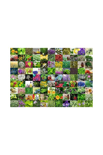 RAVENSBURGER Puzzle Ravensburger - 99 Herbs and Spices, 1000 pieces