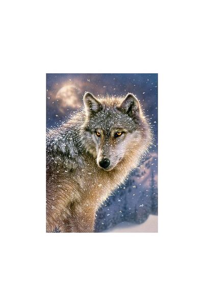 Castorland Castorland Puzzle - Lone Wolf, 500 pieces