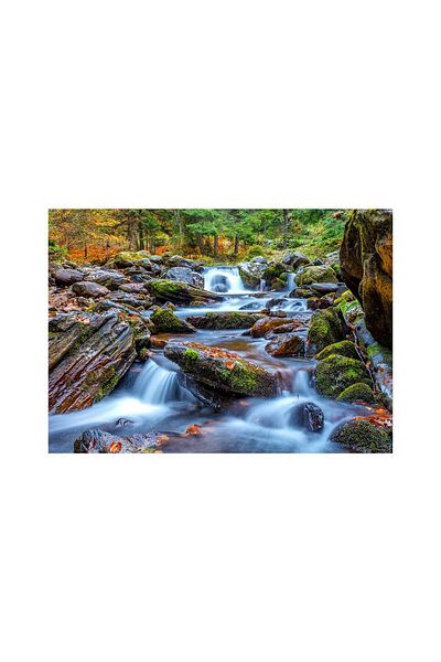 Enjoy Puzzle 1000 pieces Enjoy - Forest Stream in Autumn