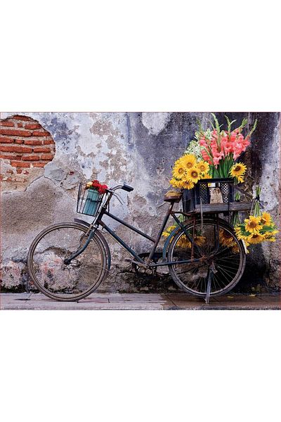 EDUCA Puzzle Educa - Bicycle with flowers, 500 pieces