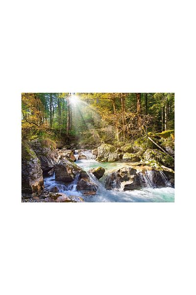 Castorland Puzzle Castorland - Sunny Forest Sream, 2000 pieces