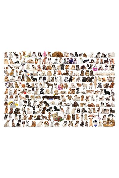 Eurographics Puzzle Eurographics - The World of Dogs, 2000 pieces