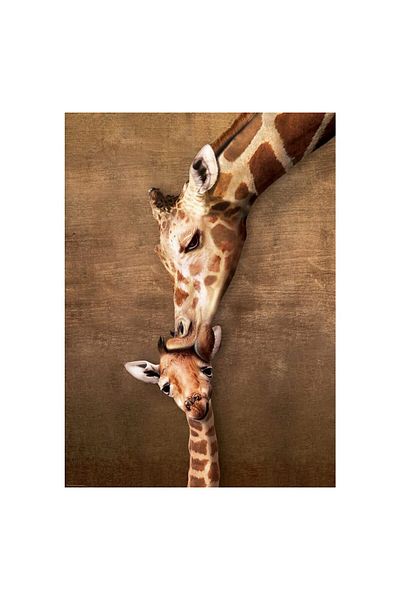 Eurographics Puzzle Eurographics - The mother Giraffe and its girafon, 1000 piese