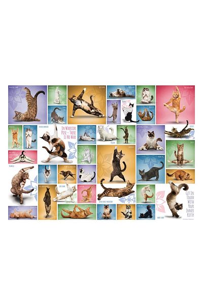 Eurographics Puzzle Eurographics - Yoga Cats, 1000 pieces