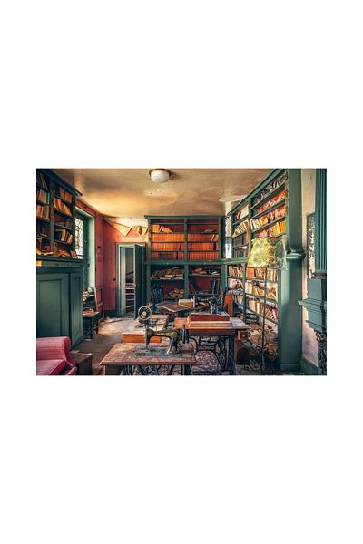RAVENSBURGER Ravensburger 1000 piece puzzle - Cantaretului Library