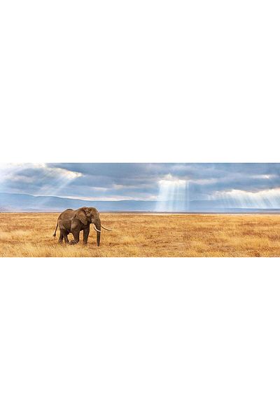 CLEMENTONI Clementoni panoramic puzzle - Lost, 1000 pieces