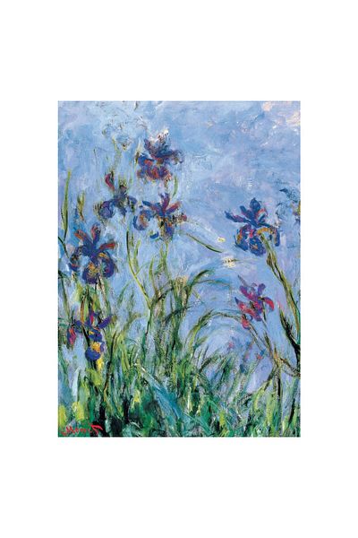 Eurographics Eurographics Puzzle - Claude Monet: Iris (Detail), 1000 pieces (6000-2034)