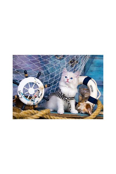 Enjoy Puzzle 1000 pieces Enjoy - Captain Kitten