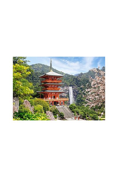 Castorland Puzzle Castorland - Seiganto-ji Temple Japan, 1000 piese